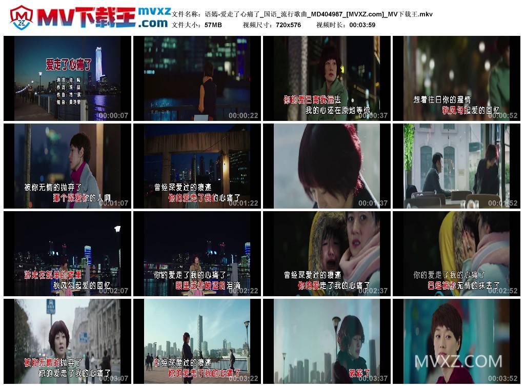 语嫣-爱走了心痛了_国语_流行歌曲_MD404987